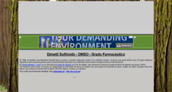 Desktop Screenshot of dimetilsulfoxido.com